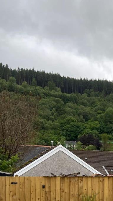 Brynhyfryd Cottage Aberaman Extérieur photo