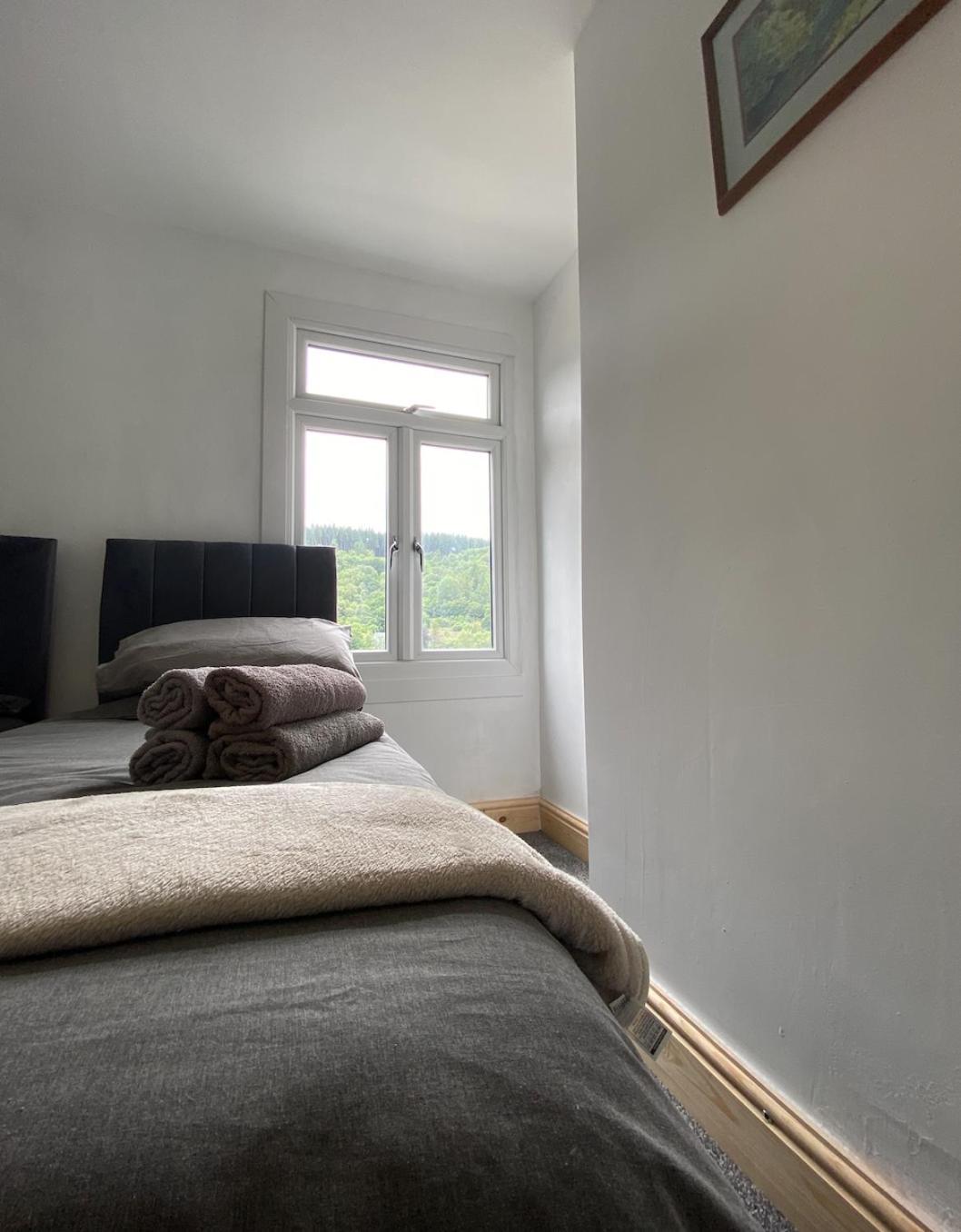 Brynhyfryd Cottage Aberaman Extérieur photo